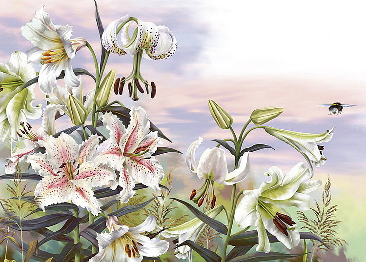 Белые лилии - цветы, лилии, букет - оригинал