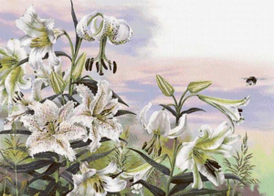 Белые лилии - букет, цветы, лилии - предпросмотр