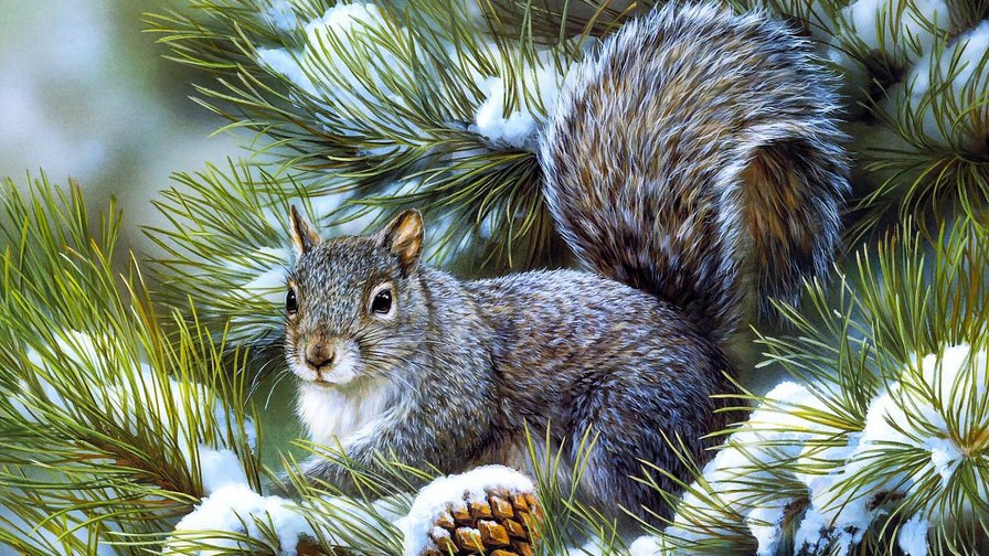 Белочка - сосна, снег, ветка - оригинал
