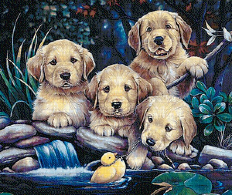 Забавные малыши - животные, сад, утенок, пруд, собаки, щенки - предпросмотр