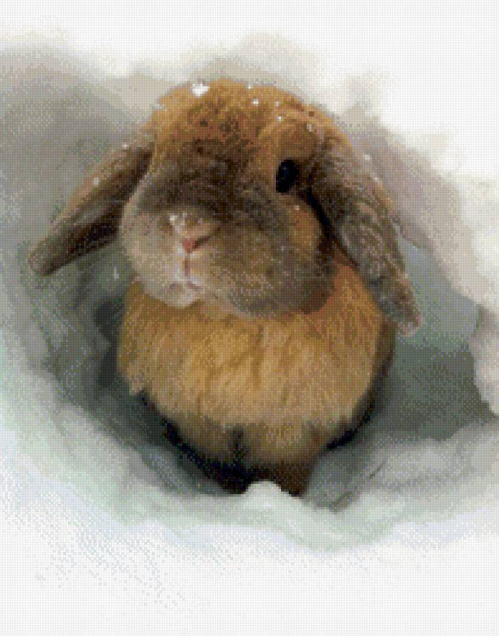 маленький заинька - зайчик, лес, снег, новый, зима, год - предпросмотр