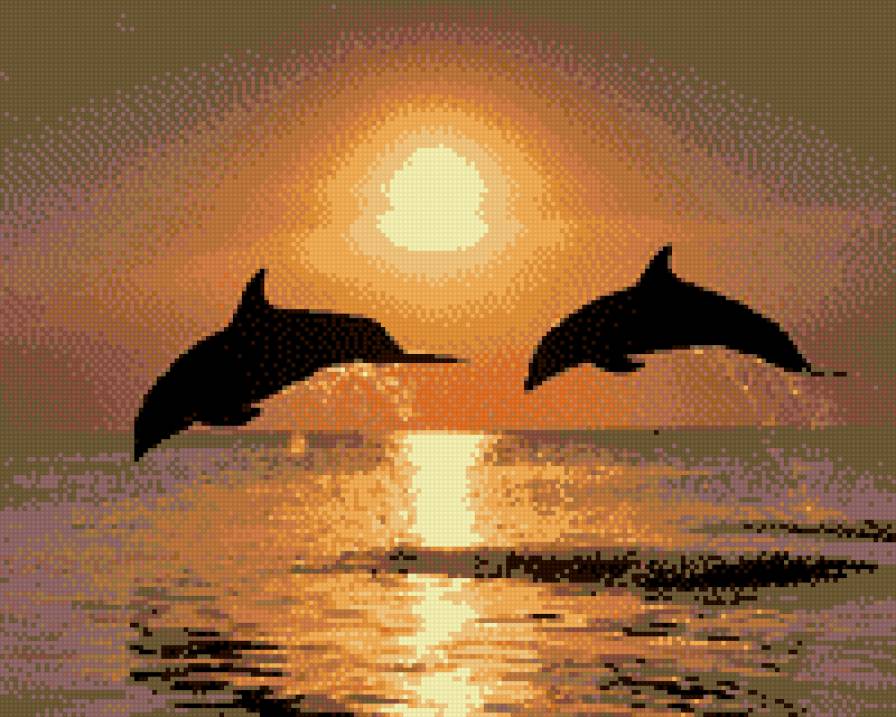 дельфины - водный мир - предпросмотр