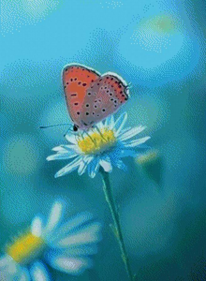 Бабочка на ромашке - предпросмотр