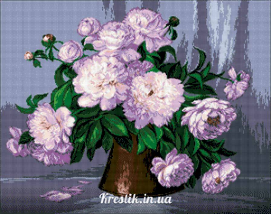 Пионы - цветы - предпросмотр