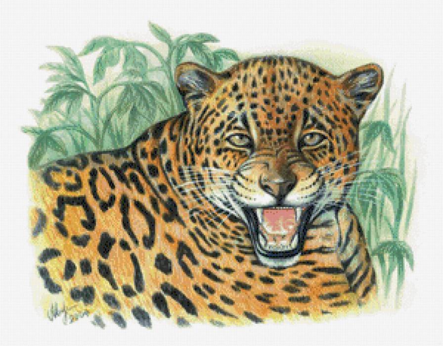 хищная кошка - предпросмотр