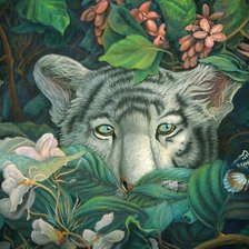 Схема вышивки «хищная кошка»