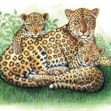 Схема вышивки «леопырды»