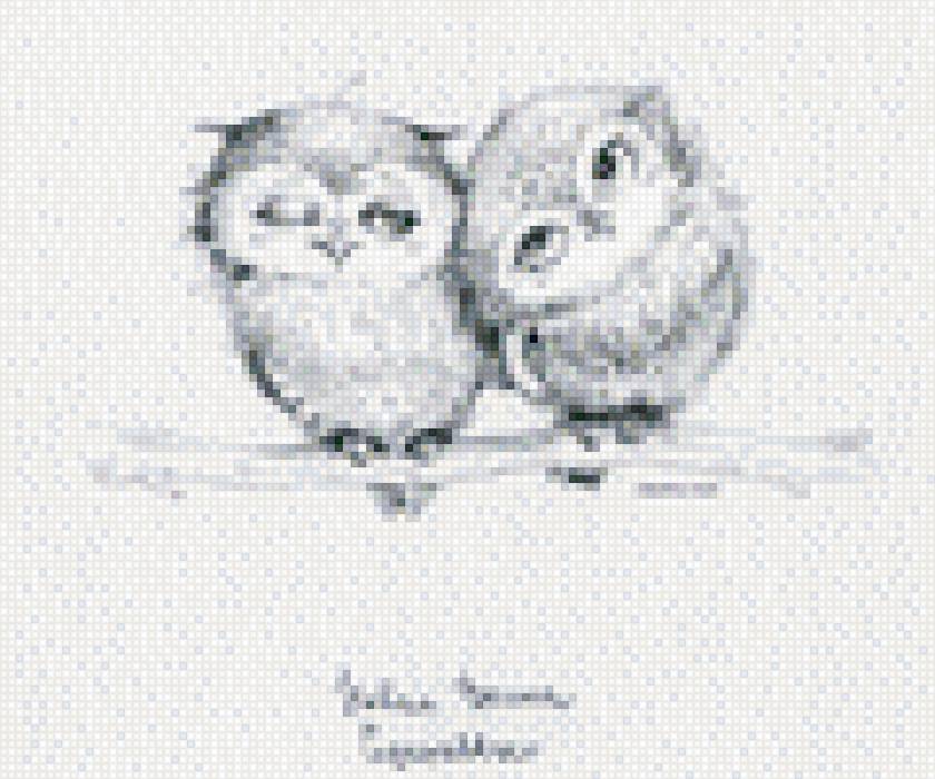 Совуньки - совы - предпросмотр