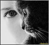 Схема вышивки «№551450»