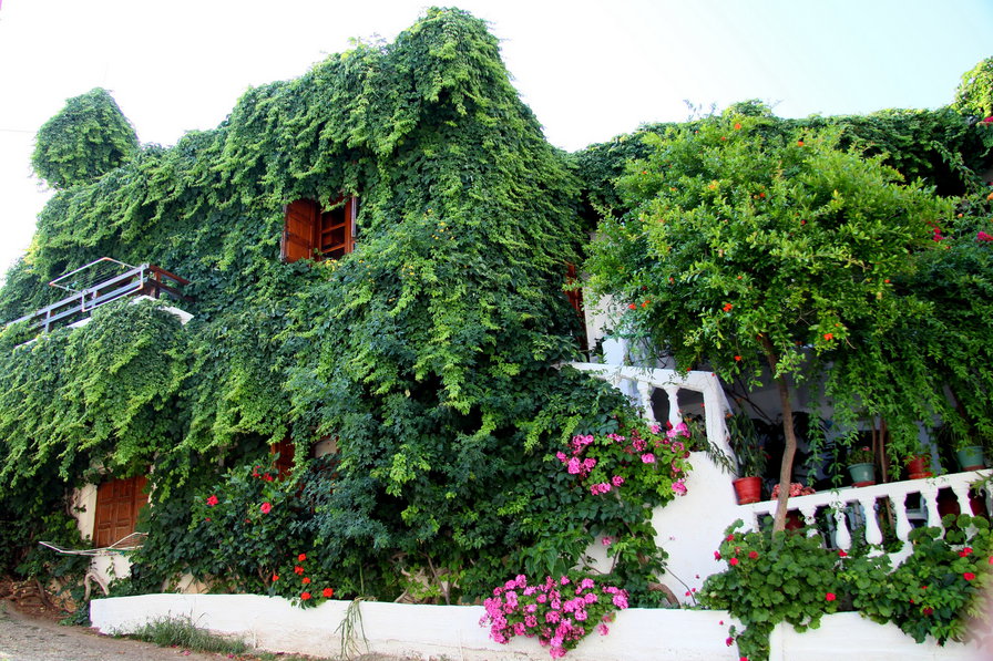 Дом в зелени Крит - оригинал