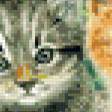 Предпросмотр схемы вышивки «Котята» (№551664)
