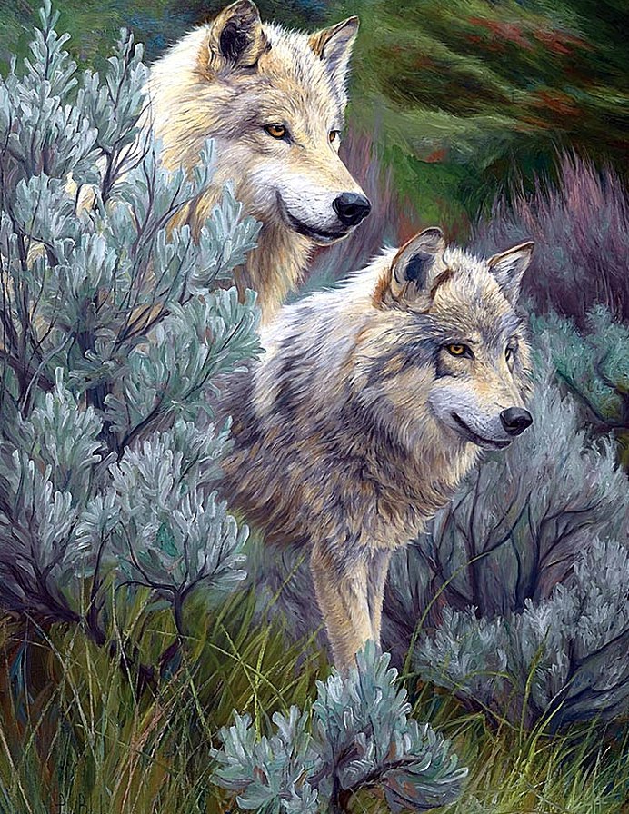 Волки - волки, животные - оригинал