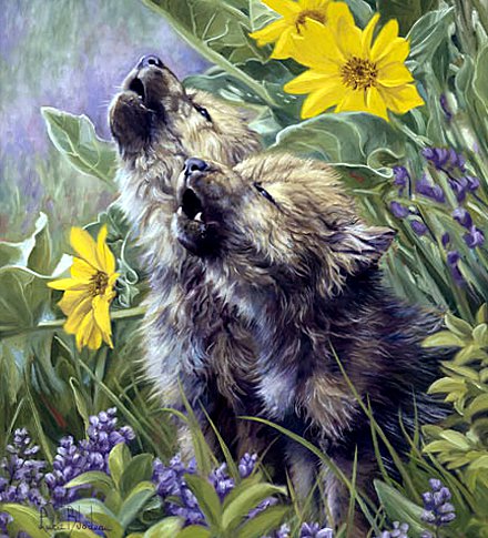 Волчата - волки, животные, волчата - оригинал