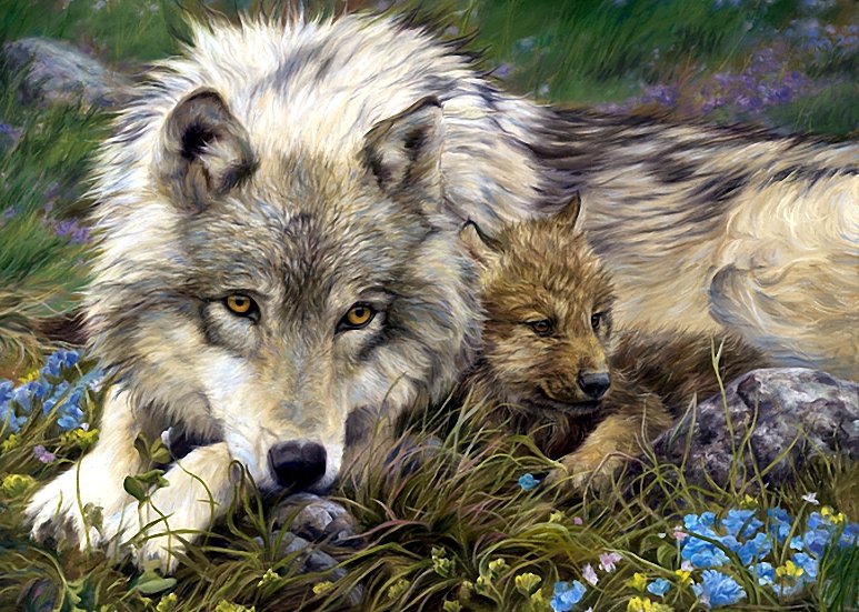 Молодая волчица - волки, животные - оригинал