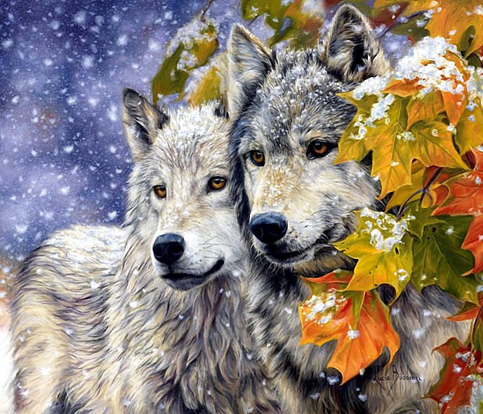 Волки - животные, волки - оригинал