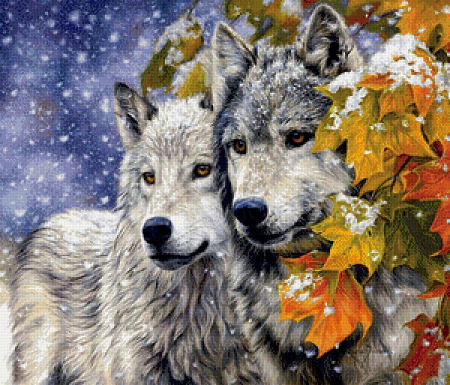 Волки - животные, волки - предпросмотр