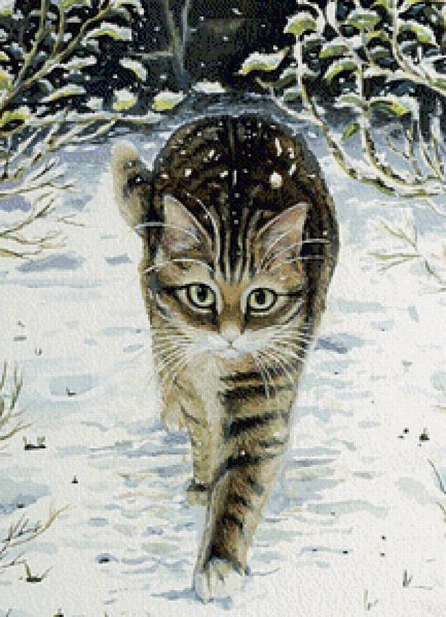 Усатый-полосатый - животные, кошки - предпросмотр