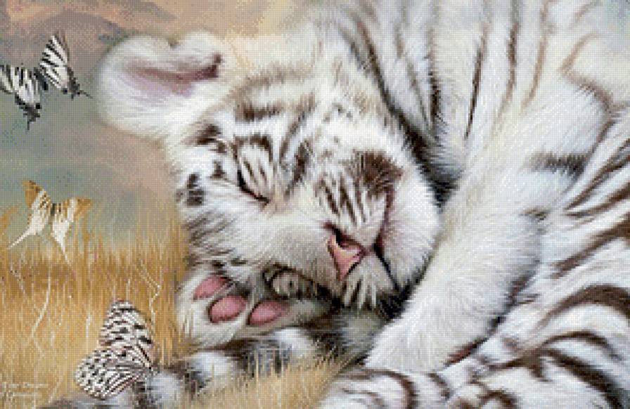 Летний сон - тигренок, бабочки, животные, лето, тигры - предпросмотр