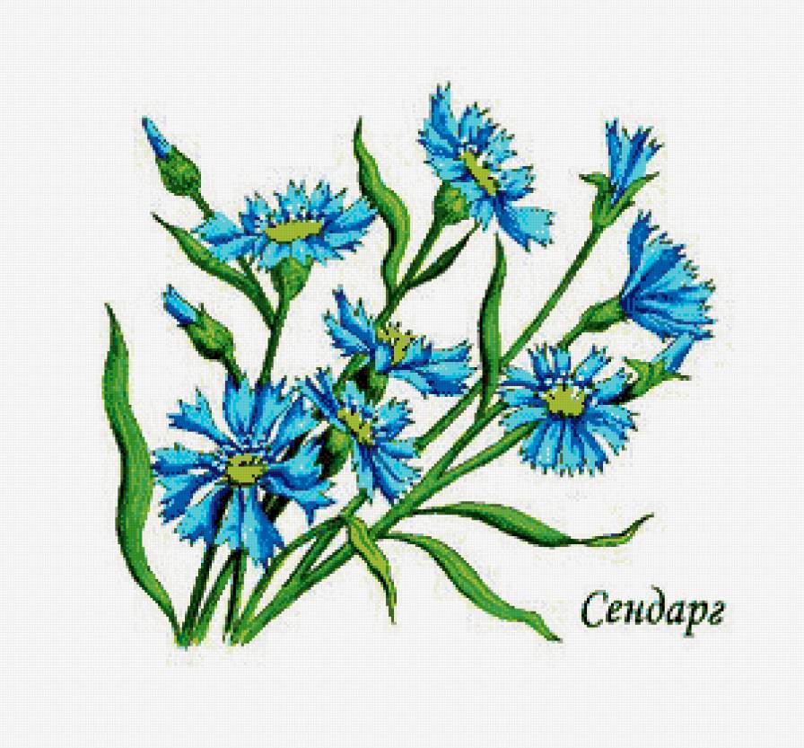 васельки - предпросмотр