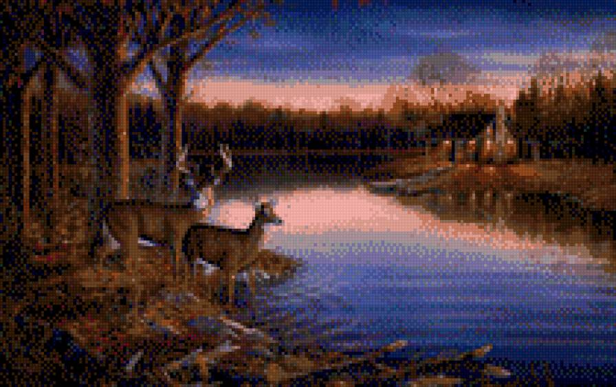 Пара оленей - природа и животные - предпросмотр