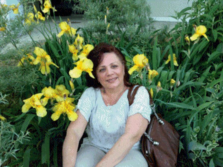 Зинулька - ирисы - предпросмотр