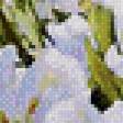 Предпросмотр схемы вышивки «Цветы на пруду» (№552482)