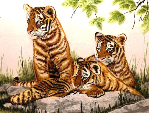тигрята - животные, природа, тигры - оригинал