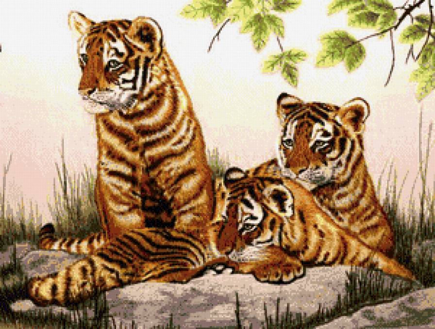 тигрята - животные, тигры, природа - предпросмотр