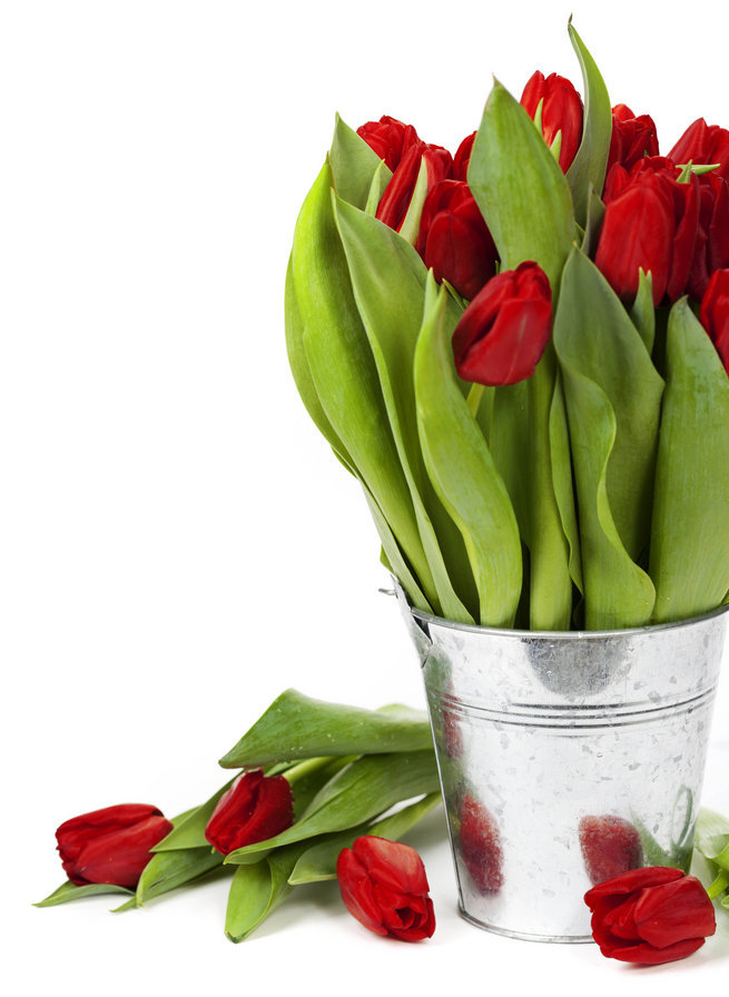 цветы - оригинал