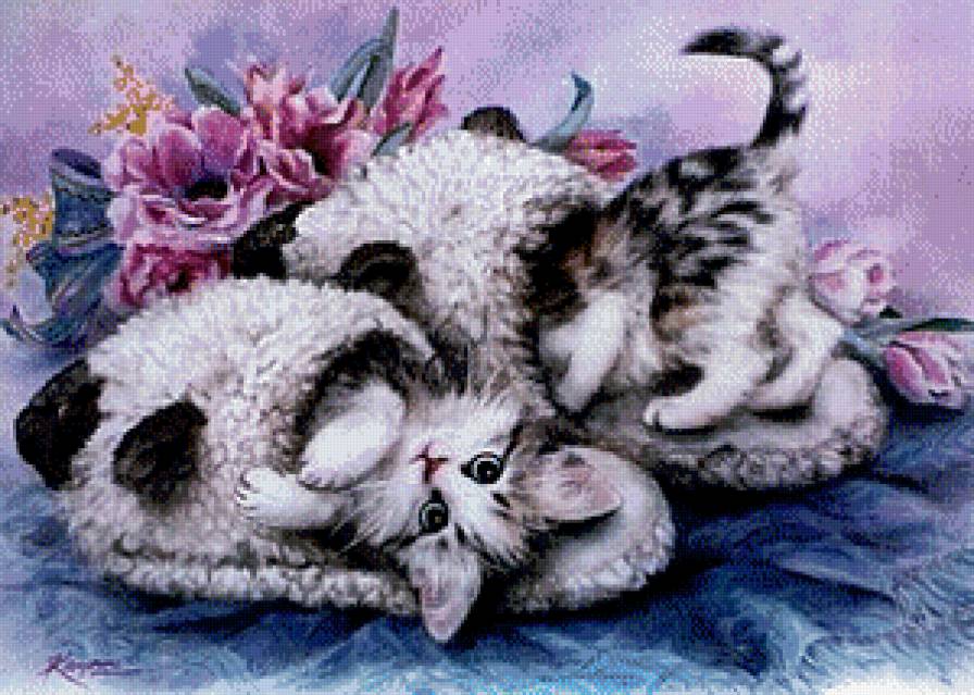 Котята - котята - предпросмотр