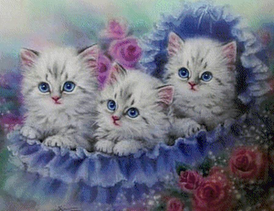 Котята - котята - предпросмотр