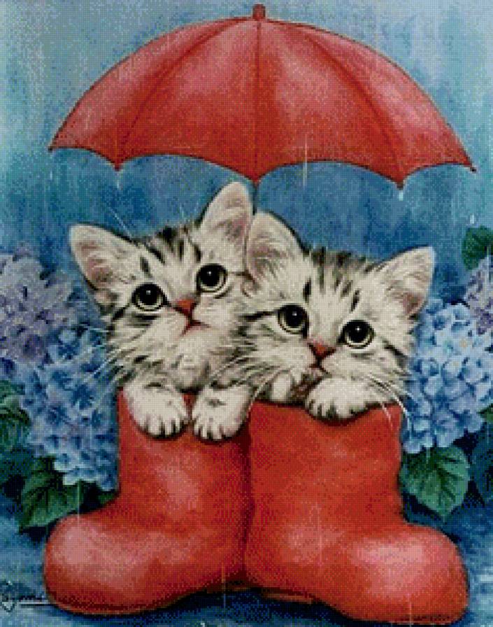 Котята - котята - предпросмотр