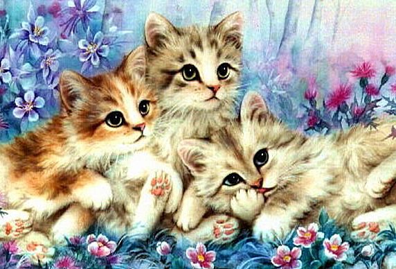 Котята - котята - оригинал