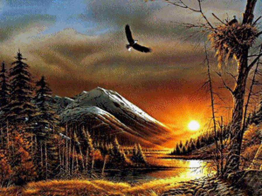 Полет - природа, красота, закат, птица - предпросмотр