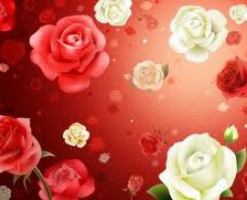 Схема вышивки «Цветы на подушку»