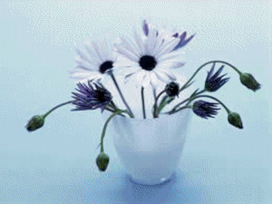 Ромашки - ромашки, цветы - предпросмотр