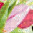 Предпросмотр схемы вышивки «Бабочки и тюльпаны» (№553062)