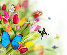 Схема вышивки «Бабочки и тюльпаны»