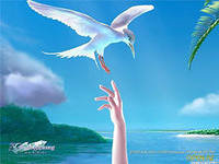 №553133 - птицы, лето, море - оригинал