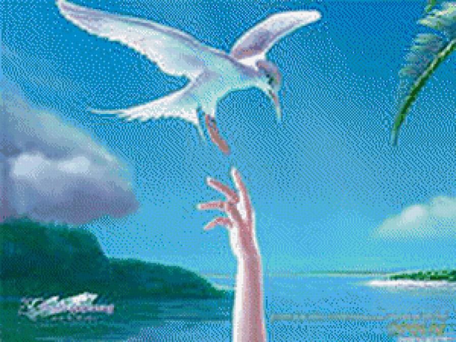 №553133 - море, птицы, лето - предпросмотр