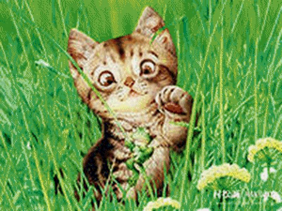 Коташка - животные, коты - предпросмотр