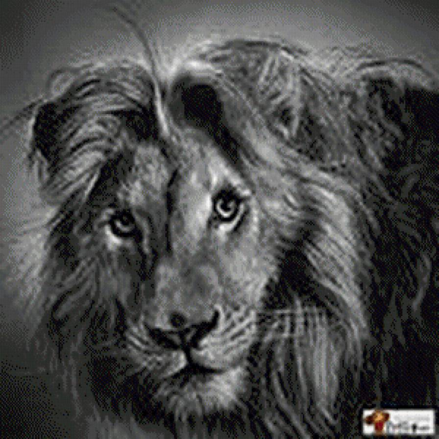 Король лев - животные, лев, монохром - предпросмотр