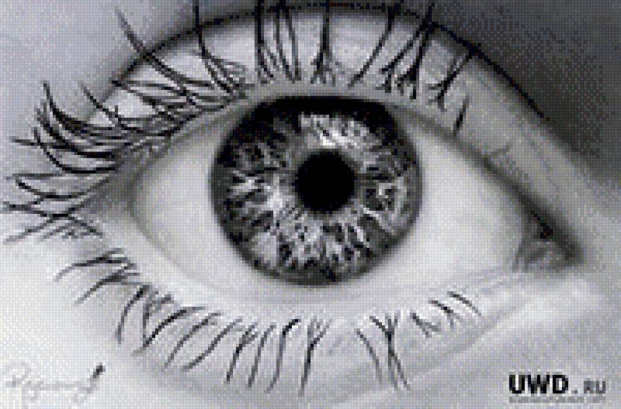 Монохром - женщина, монохром, люди, красота - предпросмотр