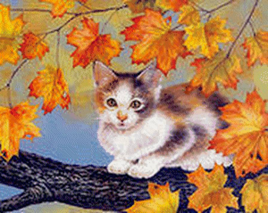 Коташка на ветке - коты, природа, животные, осень - предпросмотр