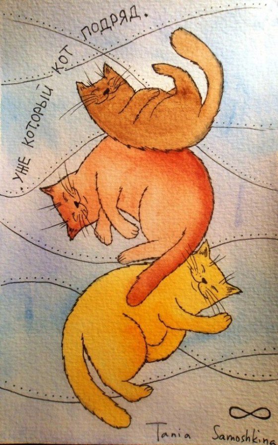 Уже который кот подрыд - коты, позитив, кошки, оптимизм - оригинал