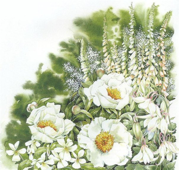 белоснежность - цветы - оригинал