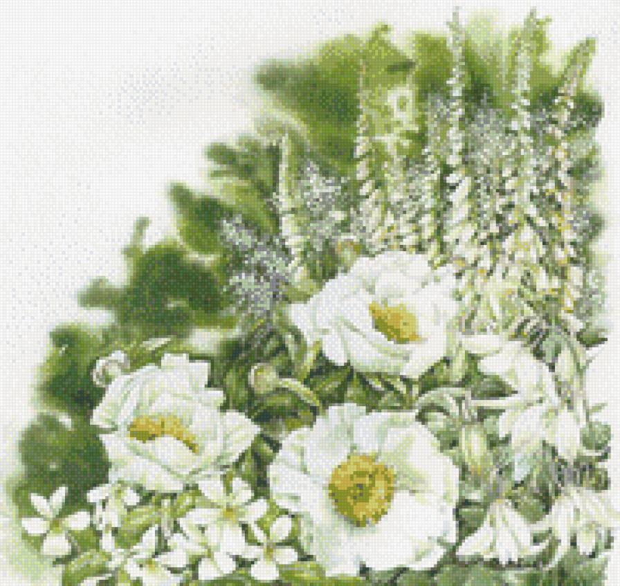 белоснежность - цветы - предпросмотр