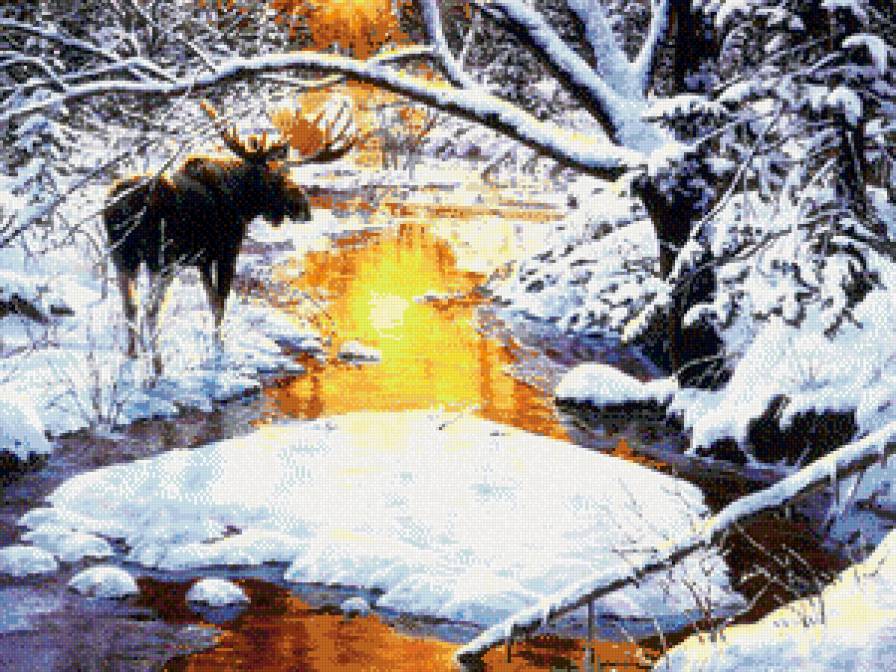 закат в лесу - лось, природа, зима, пейзаж, река, лес, зака - предпросмотр