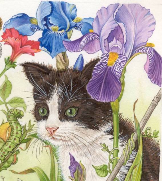 котенок в ирисах - оригинал