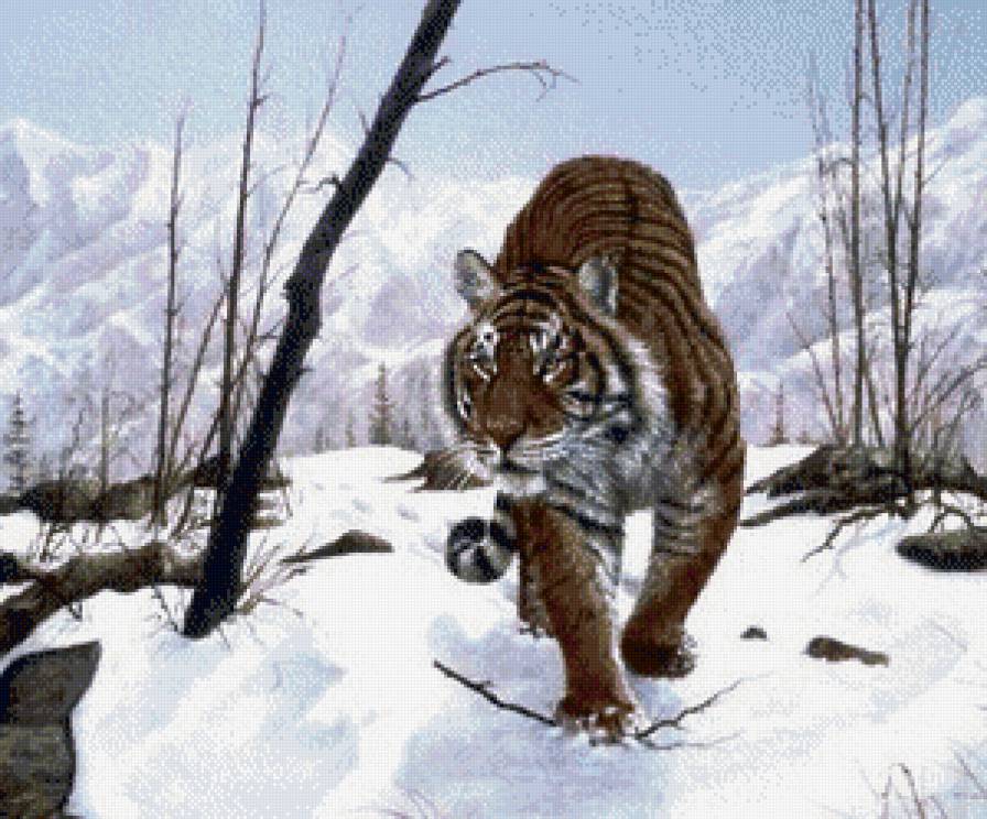 тигр - природа, тигры, животные - предпросмотр